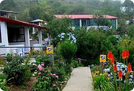 Mountain Trail Resort
